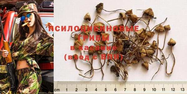 синтетический гашиш Дмитровск