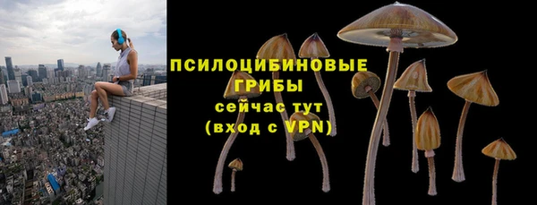 apvp Гусев
