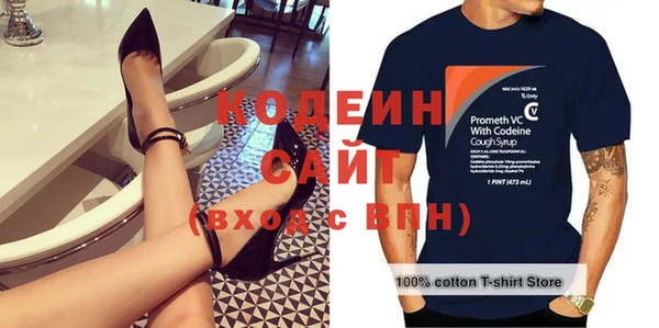 apvp Гусев