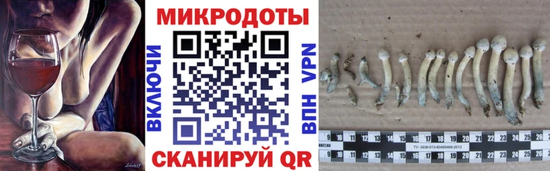 Купить где  Каменка  Псилоцибиновые грибы GOLDEN TEACHER 
